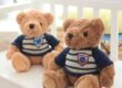 Custom Plush Teddy Bear for Kids – Soft and Cute Toy from Manufacturer