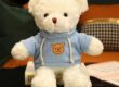 Birthday Gift Teddy Bear Plush Toy – Soft Stuffed Animal from Supplier