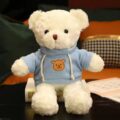 Birthday Gift Teddy Bear Plush Toy – Soft Stuffed Animal from Supplier