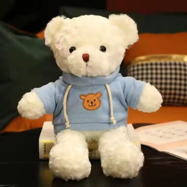 Birthday Gift Teddy Bear Plush Toy – Soft Stuffed Animal from Supplier

