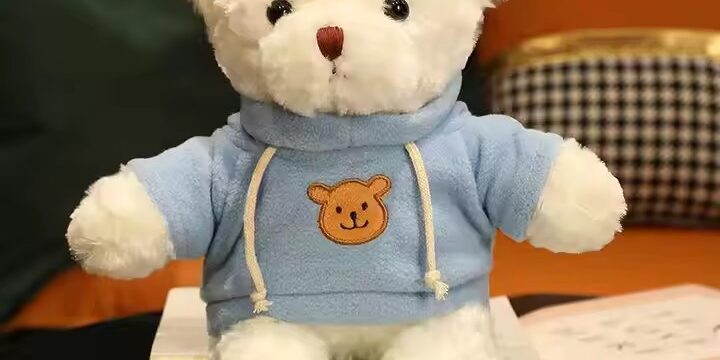 Birthday Gift Teddy Bear Plush Toy – Soft Stuffed Animal from Supplier