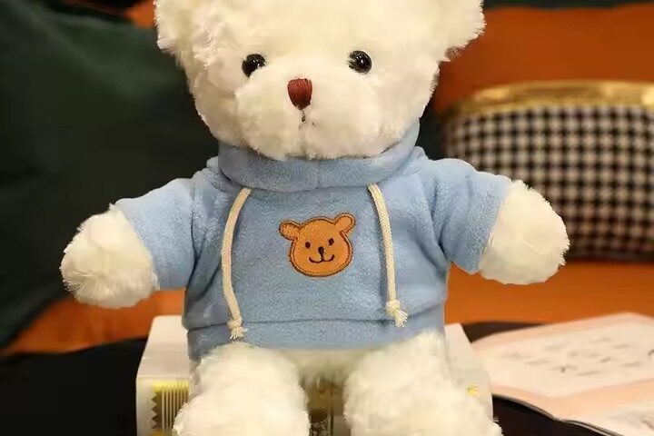 Birthday Gift Teddy Bear Plush Toy – Soft Stuffed Animal from Supplier