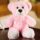 Valentine’s Day Teddy Bear Plush Toy – Cute Romantic Stuffed Animal Gift