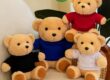 Custom Teddy Bear Plush Toy with Printed T-Shirt – Soft Promotional Stuffed Toy