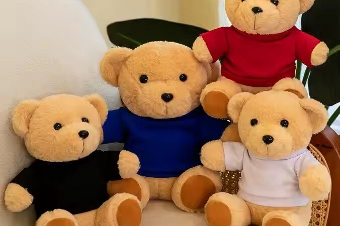 Custom Teddy Bear Plush Toy with Printed T-Shirt – Soft Promotional Stuffed Toy