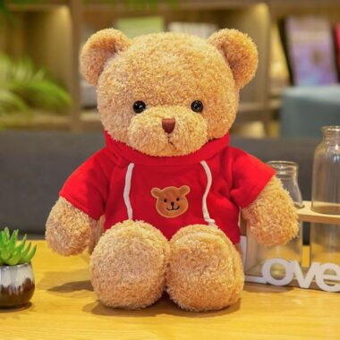 Cute teddy bear plush designed for birthday gift occasions