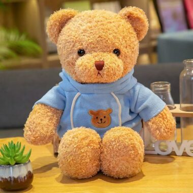 Cute teddy bear plush designed for birthday gift occasions