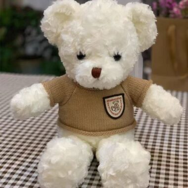 Cute teddy bear plush designed for birthday gifting occasions