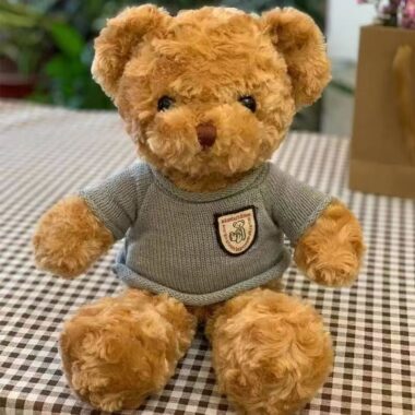 Cute teddy bear plush designed for birthday gifting occasions