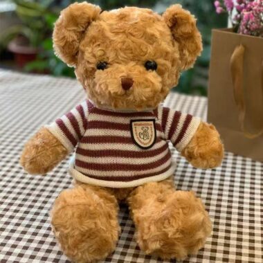 Cute teddy bear plush designed for birthday gifting occasions