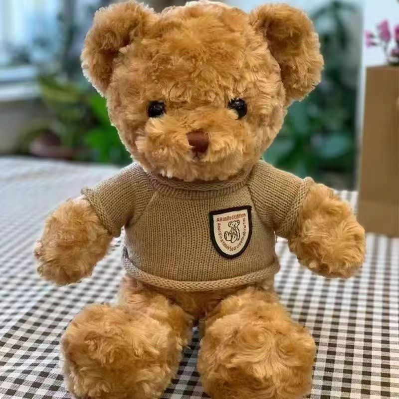 Cute teddy bear plush designed for birthday gifting occasions