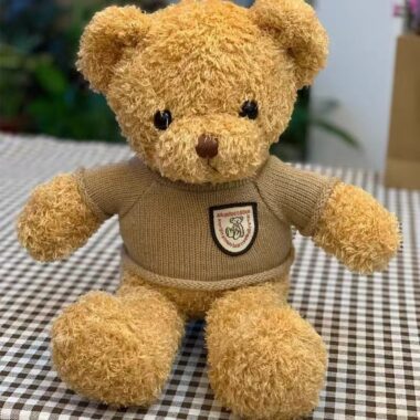 Cute teddy bear plush designed for birthday gifting occasions