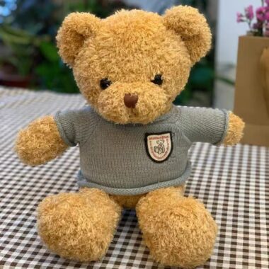 Cute teddy bear plush designed for birthday gifting occasions