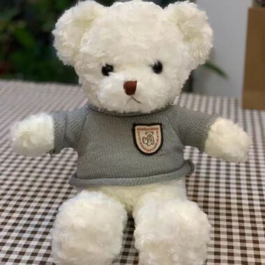 Cute teddy bear plush designed for birthday gifting occasions
