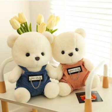 Cute overalls teddy bear plush toy for birthday gifting