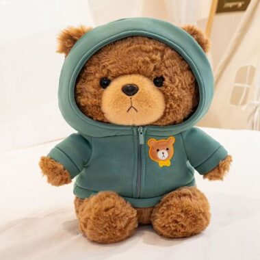 Cute hoodie and sweater teddy bear plush for gifting