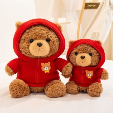 Cute hoodie and sweater teddy bear plush for gifting