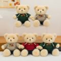 Ultra-cute hoodie teddy bear plush toy for gifting