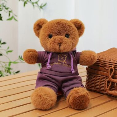 Cute teddy bear plush wearing a cozy hoodie outfit