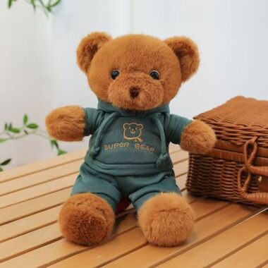 Cute teddy bear plush wearing a cozy hoodie outfit