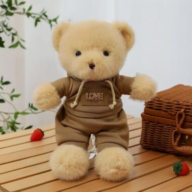 Cute teddy bear plush wearing a cozy hoodie outfit