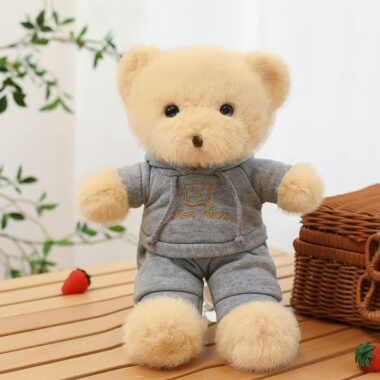 Cute teddy bear plush wearing a cozy hoodie outfit