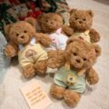 Cute teddy bear plush wearing strap overalls for gifting